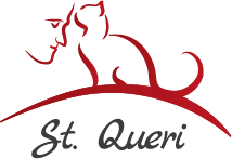 stichting Queri logo